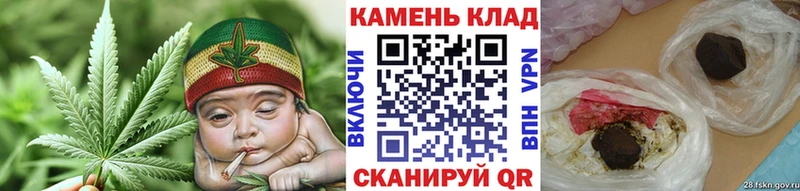 где купить наркоту  Жуковка  ГАШ Cannabis 