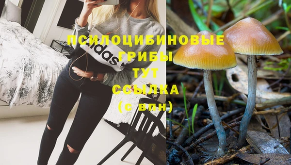 ГАЛЛЮЦИНОГЕННЫЕ ГРИБЫ Алзамай