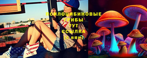 ГАЛЛЮЦИНОГЕННЫЕ ГРИБЫ Алзамай