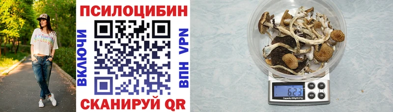 Псилоцибиновые грибы Magic Shrooms Жуковка